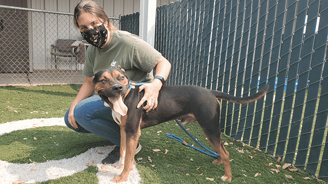 Rescued During California Fires — Bubba Finds His Best Friend