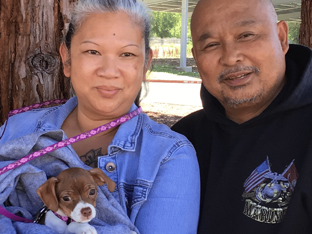 Recent Adoptions – Week of August 24