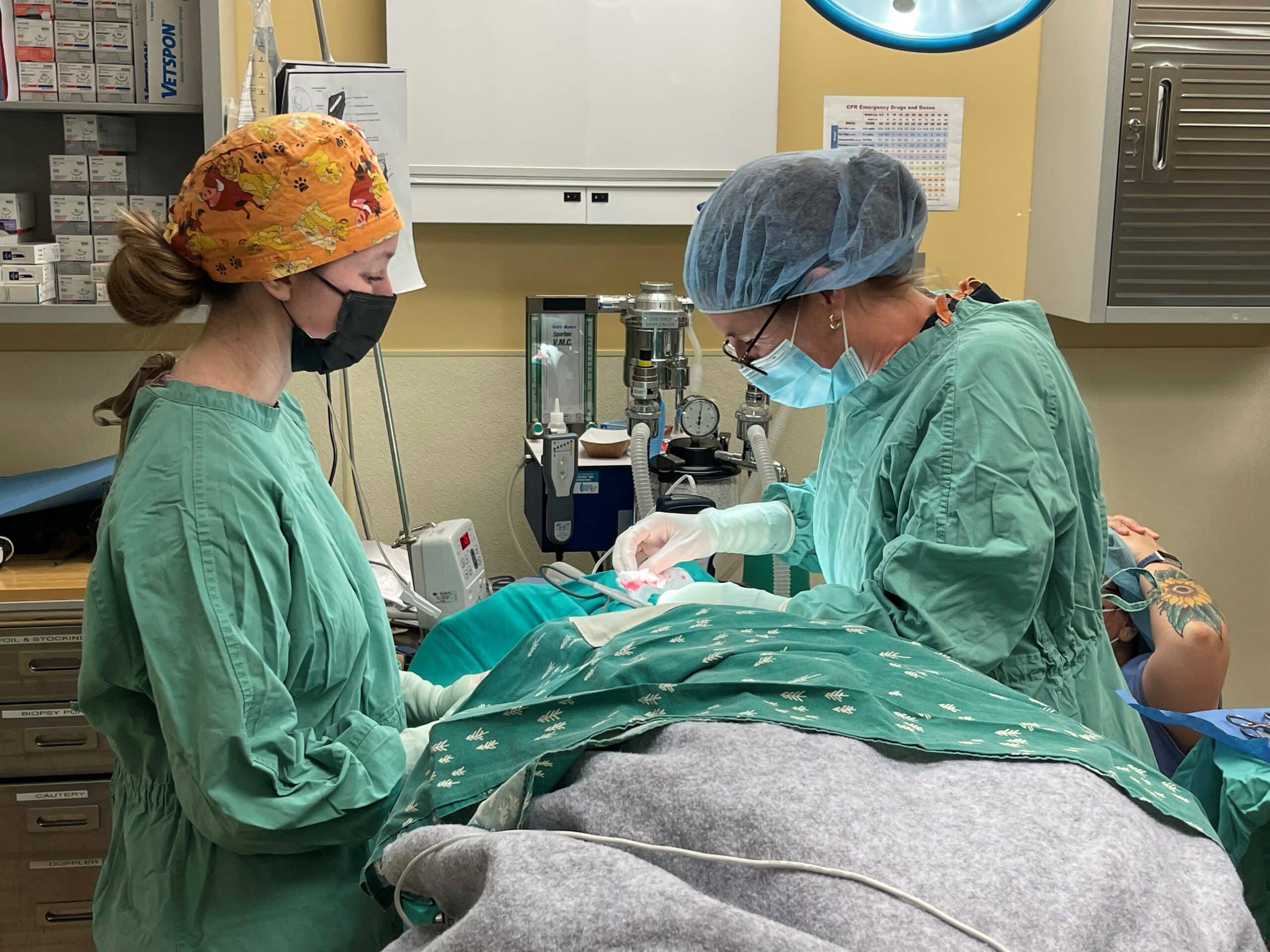 Two ARF clinic team members during a surgery in the clinic