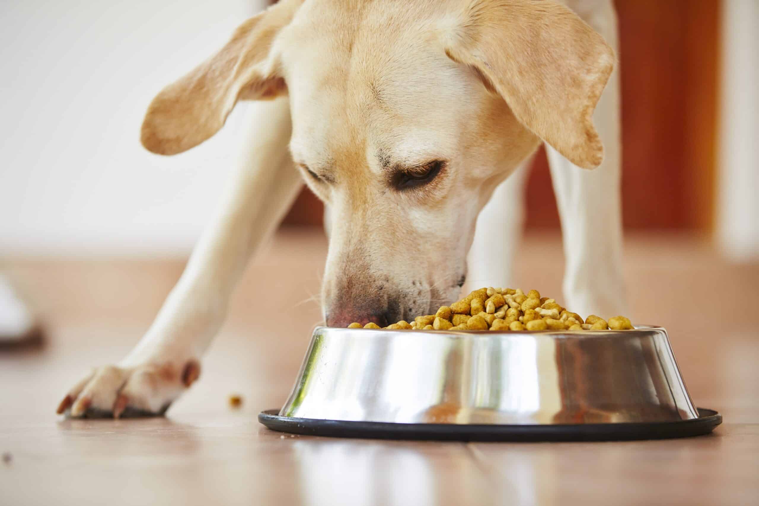 Pet Food Resources